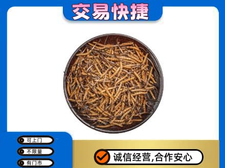 德阳市罗江回收散虫草